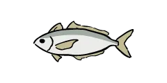 アジ
