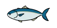 ブリ