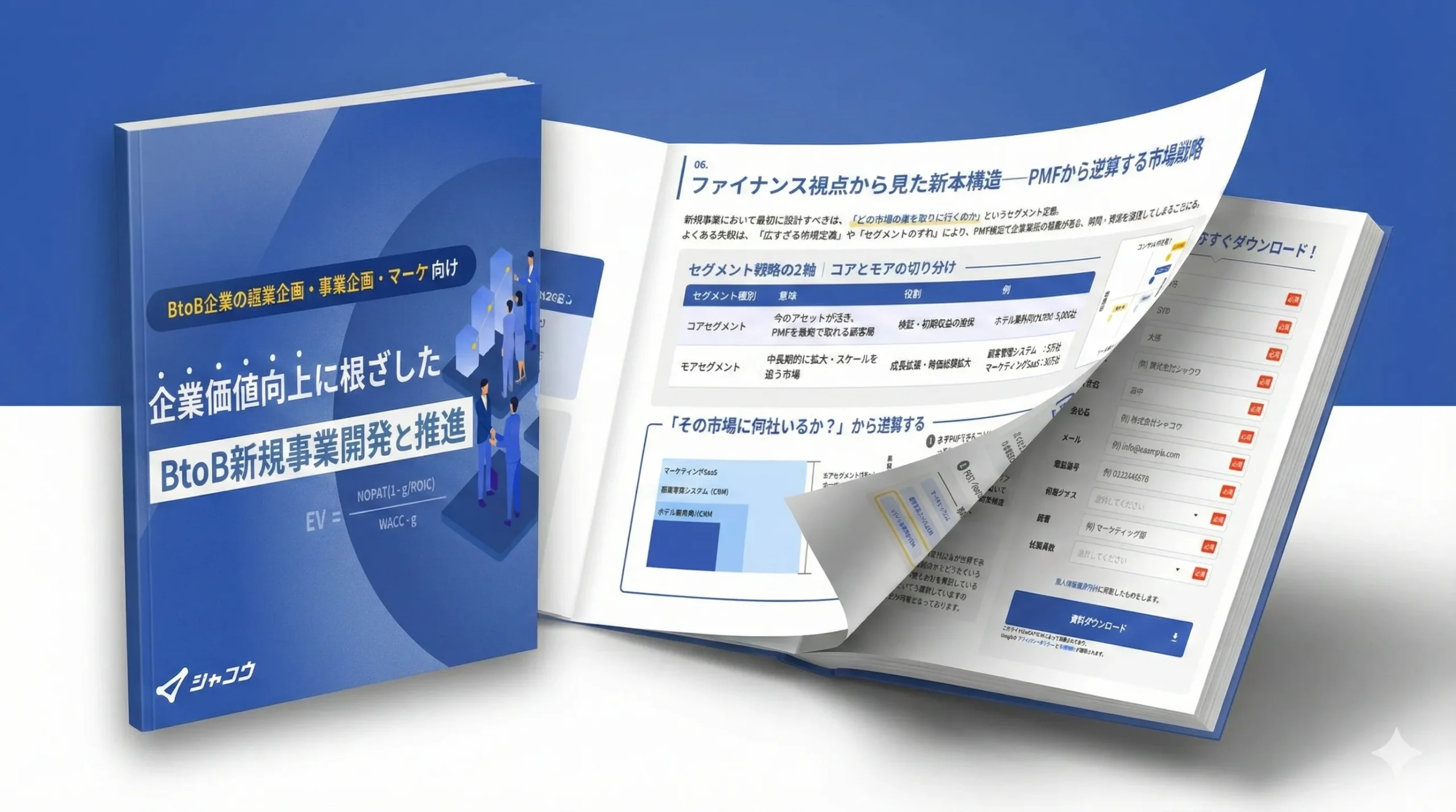 企業価値向上に根ざしたBtoB新規事業開発と推進