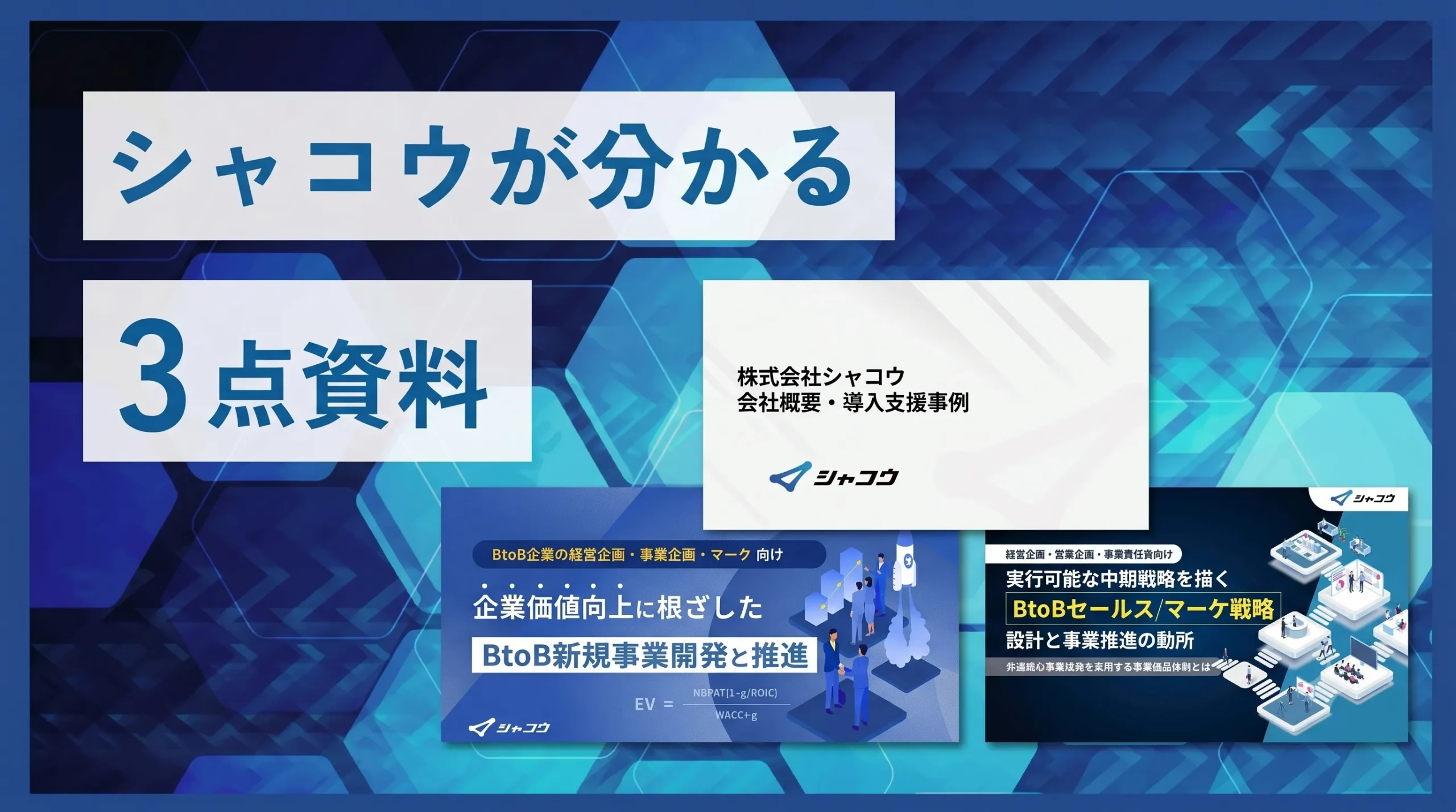 シャコウが分かる「3点資料セット」